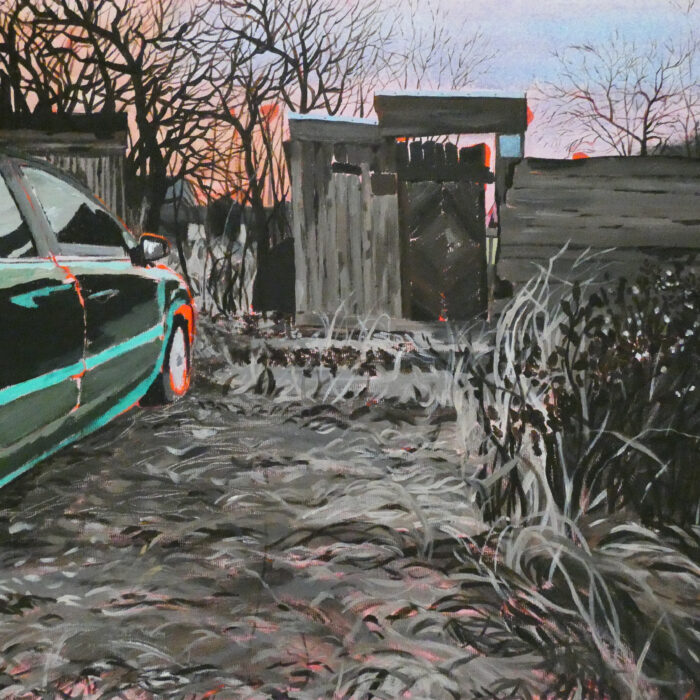 Nemes Zsuzsa - Kapu egy elhagyott telekre